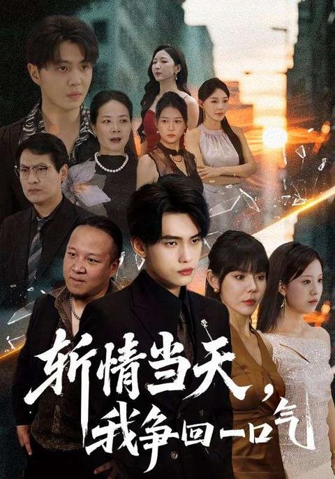 斩情当天我争回一口气海报