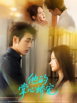 他的掌心娇宠海报
