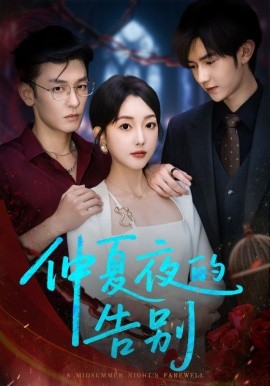 仲夏夜的告别海报