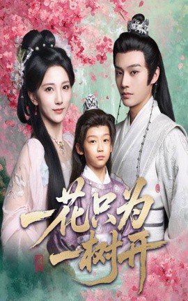 一花只为一树开海报