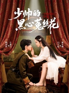 少帅的黑心菟丝花海报