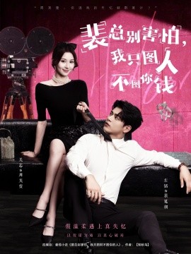 裴总别害怕我只图人不图你钱海报