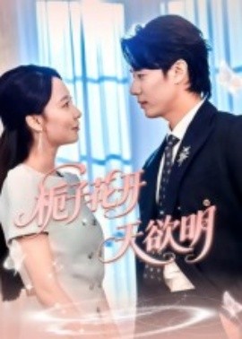 栀子花开天欲明海报