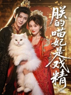 朕的喵妃是戏精海报