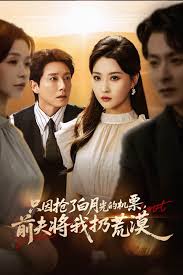 只因抢了白月光的机票前夫将我扔荒漠海报