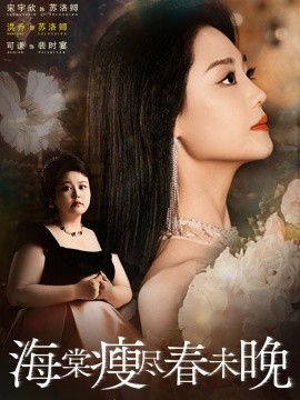 海棠瘦尽春未晚海报