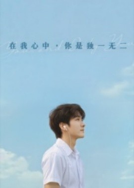 在我心中你是独一无二海报