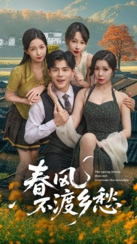 春风不渡乡愁海报