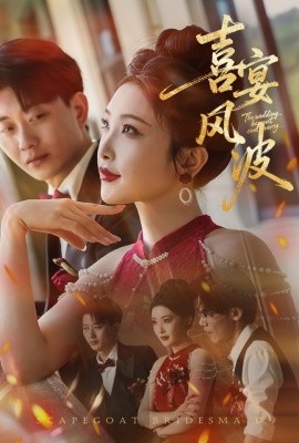 喜宴风波&替罪伴娘海报