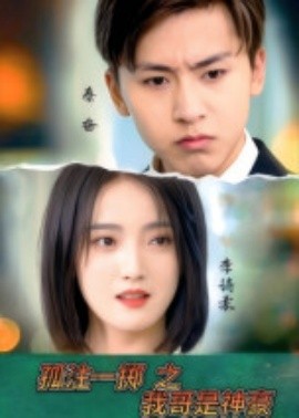 孤注一掷之我哥是神豪海报