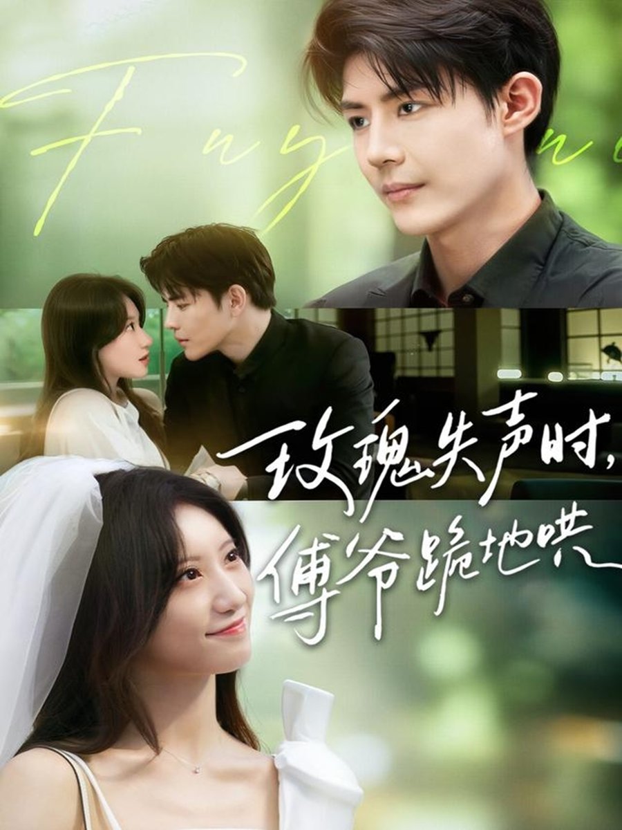 玫瑰失声时傅爷跪地哄海报