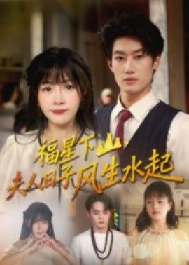 福星下山夫人日子风生水起海报