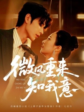 微风重来知我意海报