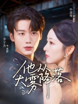 他从大雾降落海报