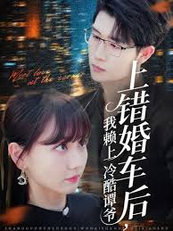 上错婚车后我赖上冷酷谭爷海报