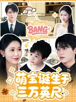 萌宝诞生于三万英尺海报