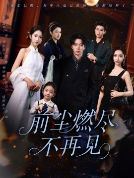 前尘燃尽不再见海报