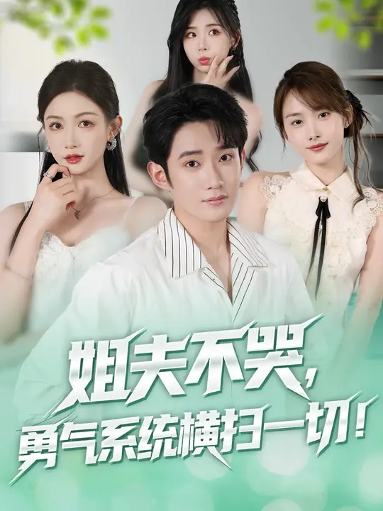 姐夫不哭勇气系统横扫一切海报