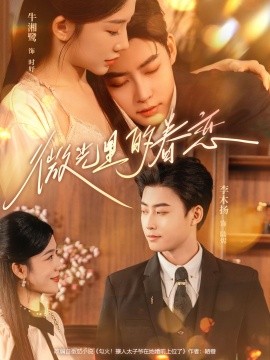 微光里的眷恋海报