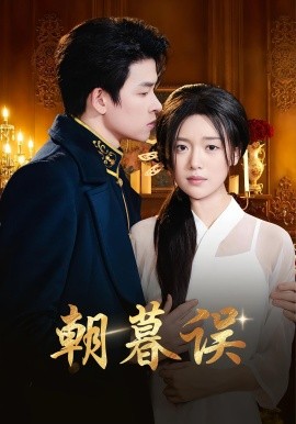 朝暮误海报