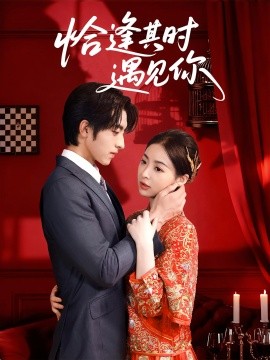 恰逢其时遇见你海报