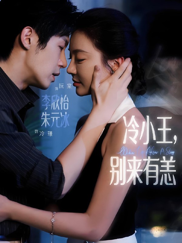 冷小王别来有恙海报