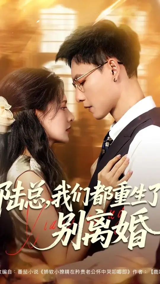 陆总我们都重生了别离婚海报