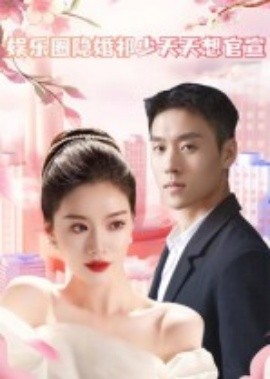 娱乐圈隐婚祁少天天想官宣海报