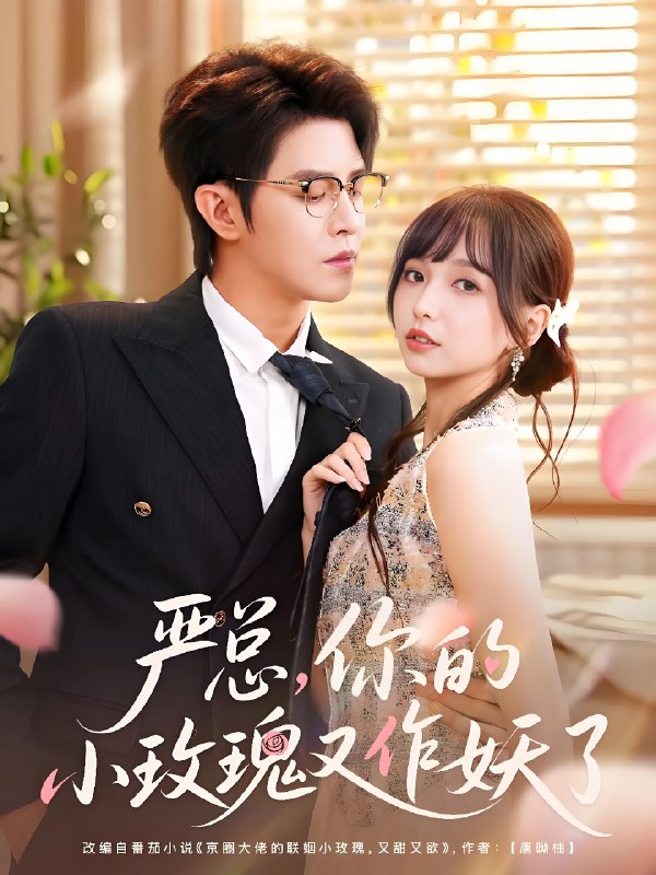 严总你的小玫瑰又作妖了海报