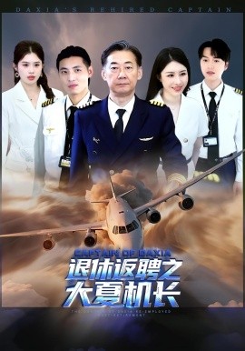 退休返聘之大夏机长海报