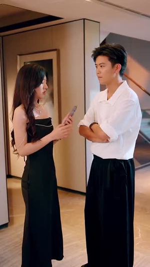 高手下山老婆是冰山女神海报