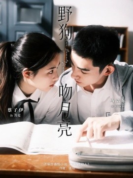 野狗吻月亮海报