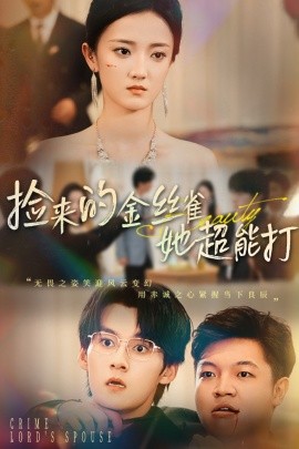 捡来的金丝雀她超能打海报