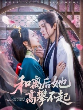 和离后她高攀不起海报