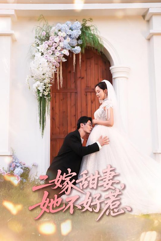 二嫁甜妻她不好惹海报
