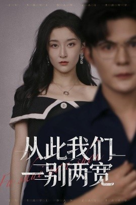 从此我们一别两宽海报