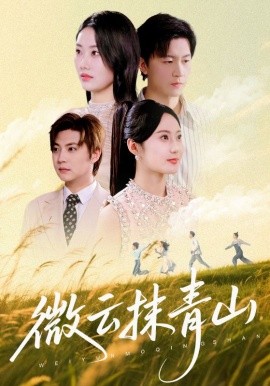 微云抹青山海报