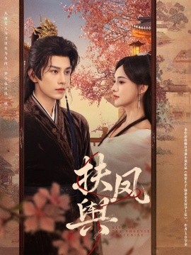 扶凤舆海报