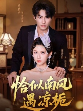 恰似南风遇凉栀海报