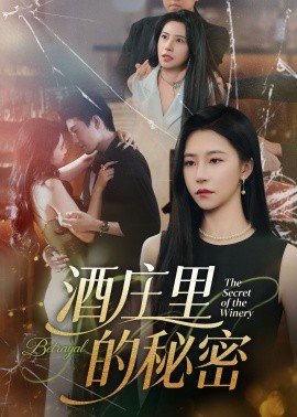 酒庄里的秘密海报