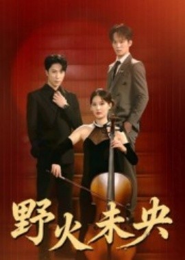 野火未央海报