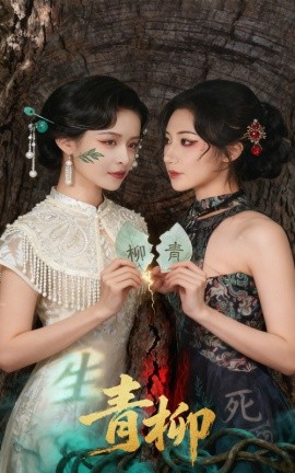 青柳短剧版海报