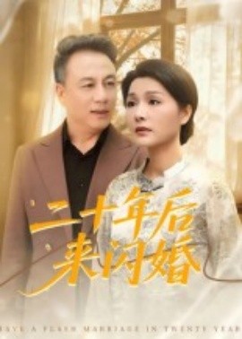 二十年后来闪婚海报