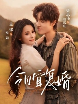 今日宜复婚海报