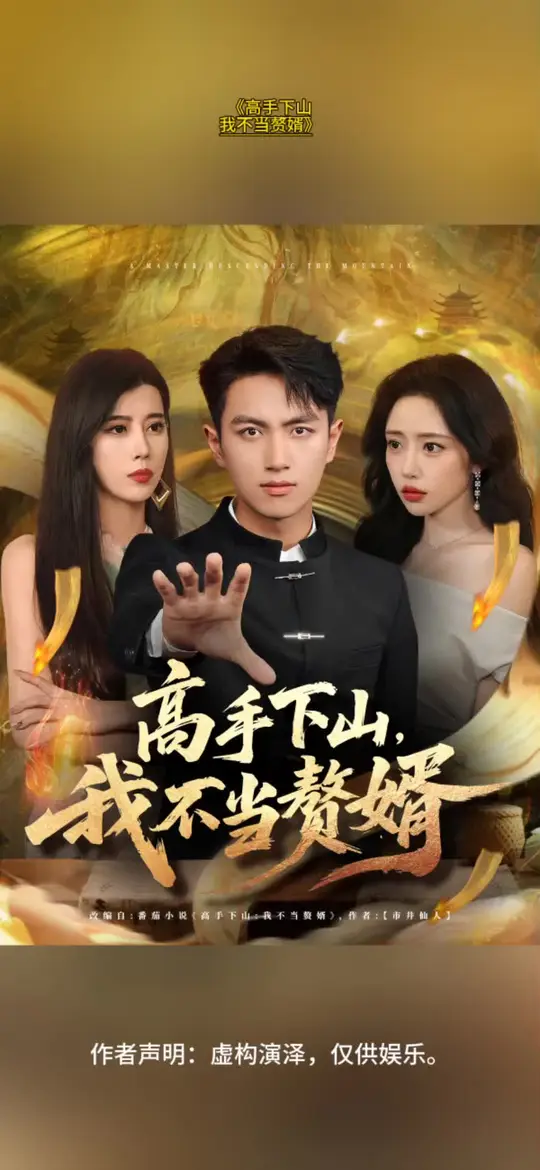 高手下山我不当赘婿海报