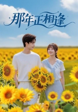 那年正相逢海报
