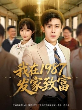 我在1987发家致富海报