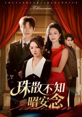珠散不知昭安念海报