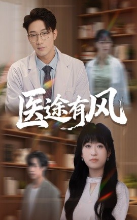 医途有风海报