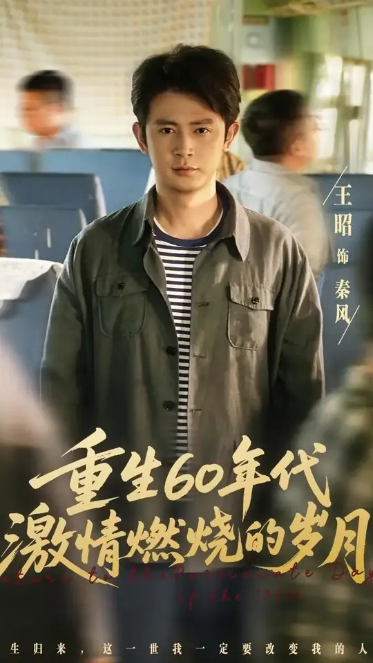 重生60年代激情燃烧的岁月海报